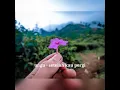 Download Lagu ungu - setelah kau pergi 2021