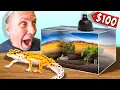 Cheap 100 Leopard Gecko Setup Tutorial