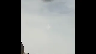 صيد الوز أو البط 