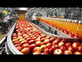 Download Lagu Hoe appelsap in een fabriek wordt gemaakt - Moderne technologie voor de productie van vruchtensap