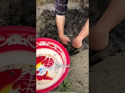 لن تصدق ماذا وجد هذا المزارع
