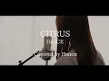 CITRUS／Da-iCE【Covered by Hanon】