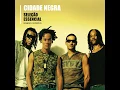10 - Cidade Negra - Falar a verdade - Álbum (Seleção Essencial)