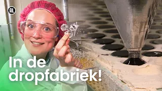 How real liquorice is made | The Apple Core
