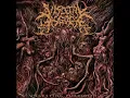 Visceral Disgorge Sedated And Amputated