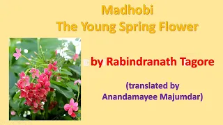 explanation of the poem madhobi the young spring flower by rabindranath tagore