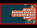 What Is Raster Data In GIS Explained Simply - The Student Atlas
