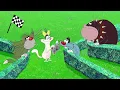 Download Lagu Oggy và những chú gián tinh nghịch | Olivia và cuộc đua lớn | The Race | phim hoạt hình