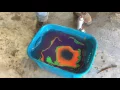 How to dip deer skull COOL DESIGN