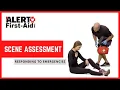 Scene Assessment