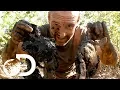 Download Lagu 'Tonight is a Feast!' | Ed Stafford: Left For Dead