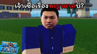 เจ้าเซื่อเรื่องพญานาคบ่? [Blox Fruits]