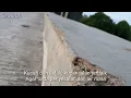 Download Lagu VANNY VABIOLA KUCARI JALAN TERBAIK+lirik dan video