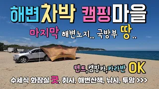 울진 염전해변 마지막 남은.. 송림 무료캠핑 차박노지, 캠핑마을 차박 스타일과 투망 낚시의 추억. #캠핑 #차박 #울진해변 #울진차박 썸네일