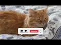 Fan Heater White Noise – Monotonous Hum for Uninterrupted Sleep (10 Hours)