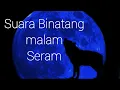 Download Lagu Suara Binatang malam seram