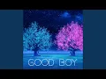 Good Boy