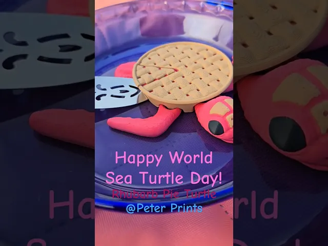 Flexi Punk Rock Sea Turtle video thumbnail