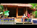 Download Lagu WAJAH BARU dapur gosong‼️ tambah semangat masak hari ini spesial udang tepung tumis kangkung