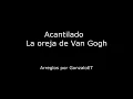 Acantilado - La Oreja de Van Gogh (cover acústico)