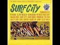 Surf Rider