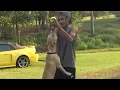 Gorilla Max Bully Max On PitBull Review 2020 Ep 1