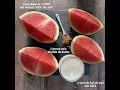 Comment faire un Mix de Pastèque Sans Sucre ?