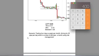 boss capital fx how to turn 100 into 28 000 dollars using forex full breakdown