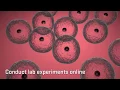 Oregon State Ecampus Course Demo