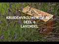 Download Lagu 6. KRUIDENVROUWEN OP REIS - LAVENDEL