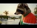 Amani Da Dawn – Horse & Trailer | Deep House