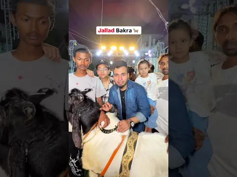 Jallad bakre ne kya kiya 🥲 #bakraeid #alaamirkhan