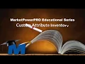 Custom Attribute Inventory