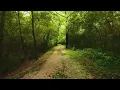 "deep love of Jesus" (acoustic version) - Hillside Recording & Christian Singleton