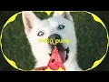 Joel Corry - Sorry[Bass Boosted]