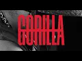 GORILLA W/ Mpho.wav