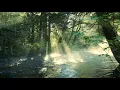 Download Lagu MISTY FOREST STREAM | Flowing Creek Nature Sounds For Sleep / Ambience | 10 Hour Natural White Noise