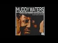 Download Lagu Muddy Waters - Hoochie Coochie Man [1954]