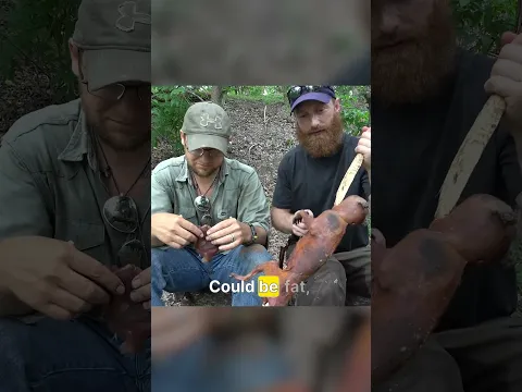 Tag someone who'll eat possum!