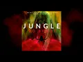 Nawaj Ansari & Jhapali$H - JUNGLE KO BHOOT
