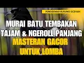 Download Lagu Rahasia Murai Batu Juara: Tembakan Pedas \u0026 Ngeroll Super Panjang! Masteran Lomba Terbaik