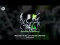 Vieze Asbak - Meet Her At The Love Parade (Slowed)