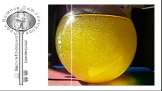 Золотий дощ 