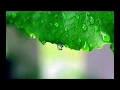 Fratii Balan - Se duce lumea