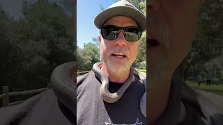 The coolest little Rosy boa snake out there. This snake is great for rodent control. ￼#snake #snakes