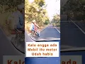 Download Lagu bertemu harimau liar di jalan raya #shorts
