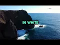 Beautiful In White - Reggae Cover | Best Reggae (Lyrics Video)