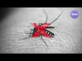 Rain + 20kHz Ultrasound = Mosquitoless Deep Sleep [ ultrasonic mosquito repellent sound ]