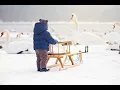 THE SWAN - Classical music for baby - Saint Saens - Carnival of the Animals.