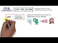 Basic Media Metrics Explained CPM CTR CPC CPA CVR Programmatic Advertising EP 8